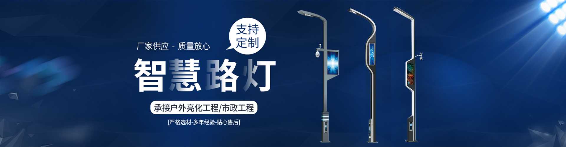 川汇区太阳能路灯定制厂家