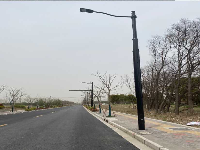 川汇区上海综合杆 太阳能路灯工程